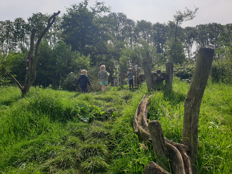 Speelbos de Schuytgraaf