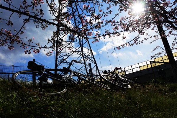 鉄塔と桜とロードバイク