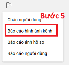 Chọn loại báo cáo