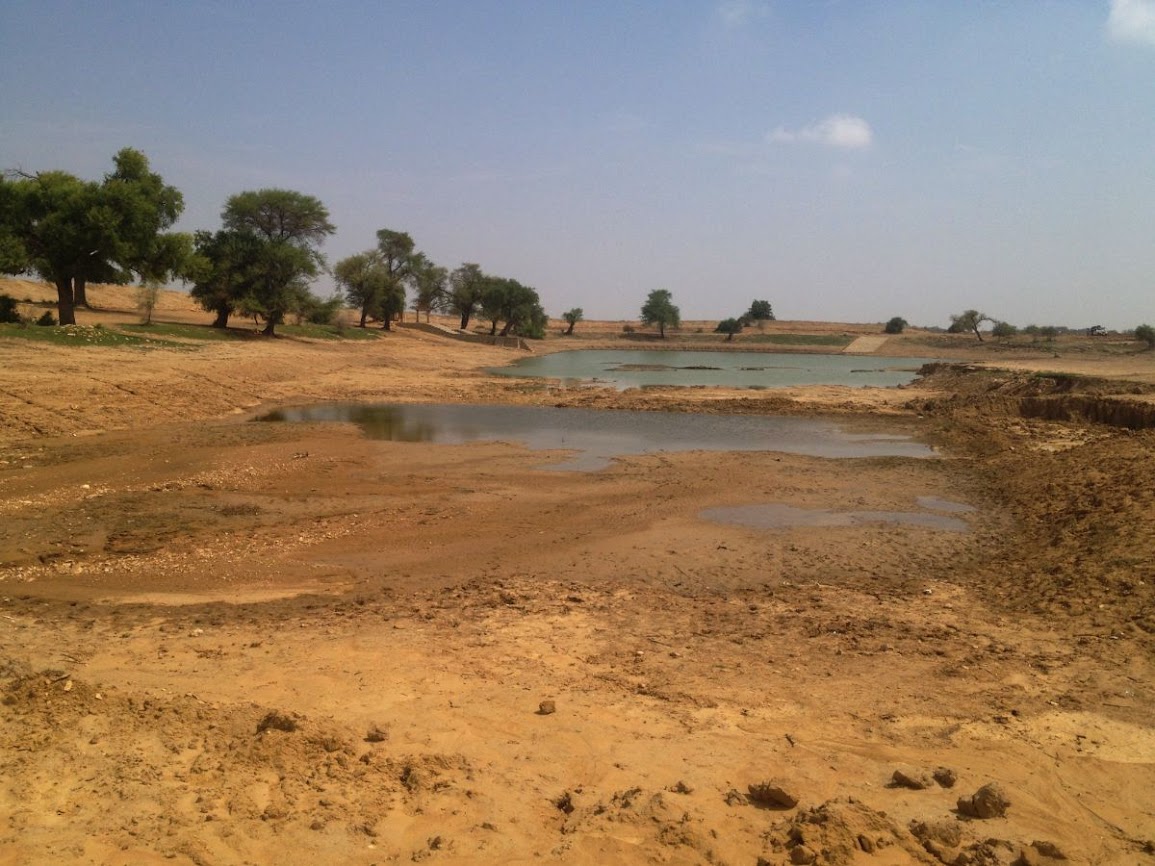 oasis in thar desert