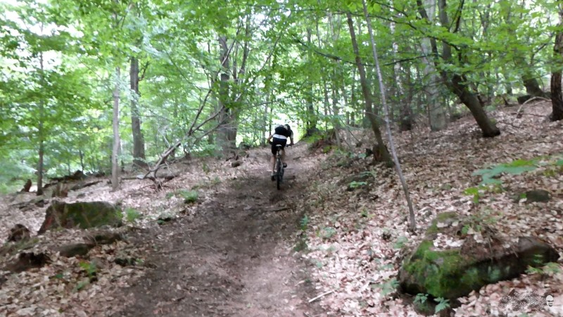 Up hill cycling at Leiman, Neckargemund, Germany