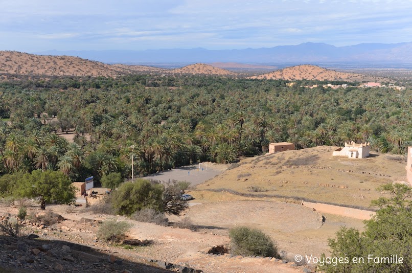 Taroudant - oasis Tiout, palmeraie