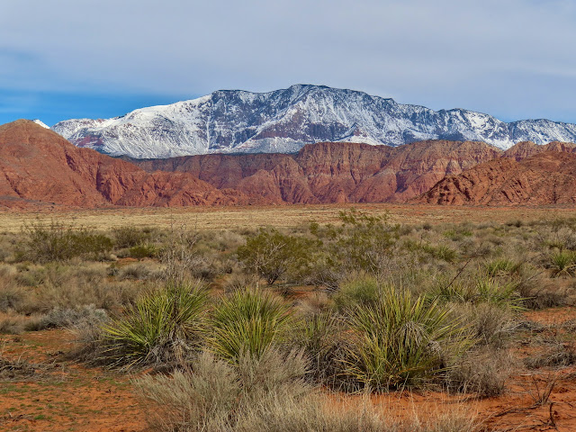 Red cliffs and Pine Valley Mountains