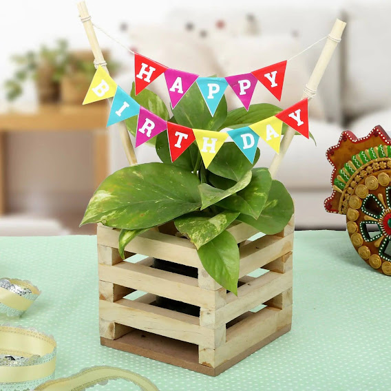 Handmade Planters for Home Decor and Gifting