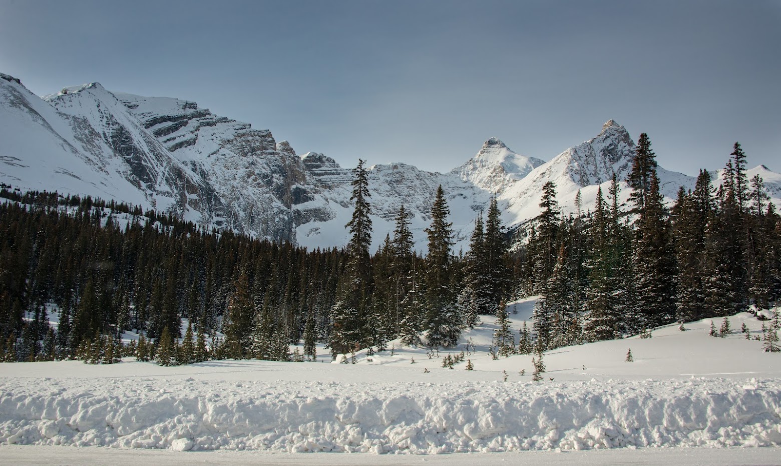 Зимняя Alberta - январь 2023