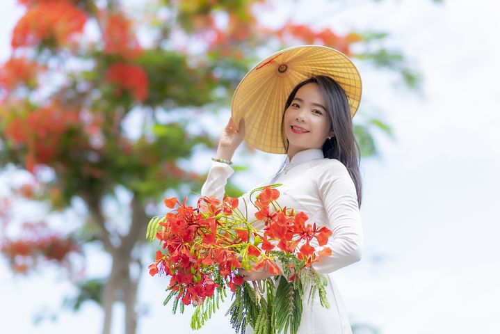 hoa phượng đẹp nhất