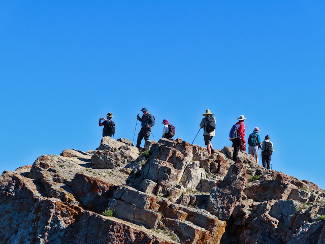 Horde of hikers