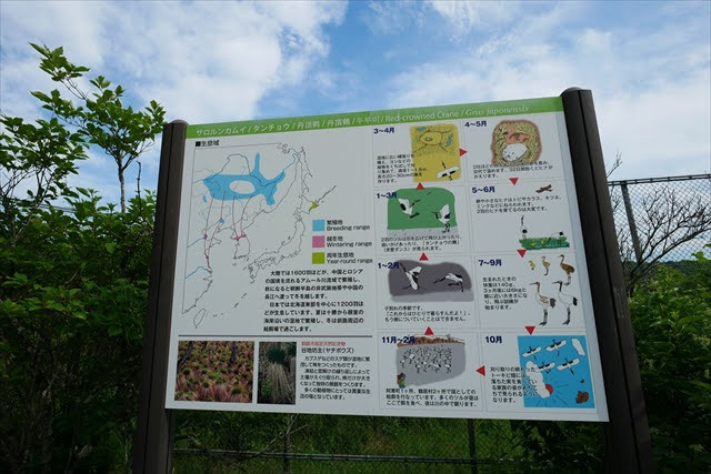 釧路市丹頂鶴自然公園