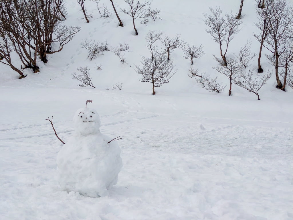 雪の蓬莱山登山│権現岳～蓬莱山ピストンルート