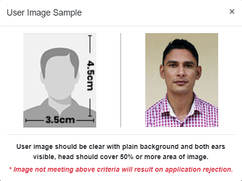 Dimensions and quality requirement for a photo during the online application submission