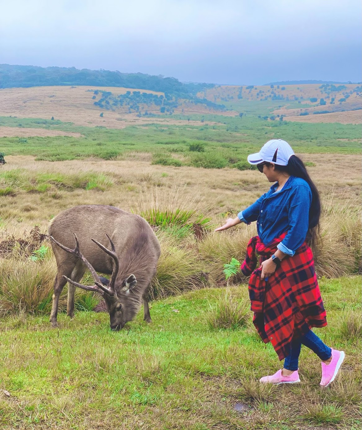 Horton Plains National Park