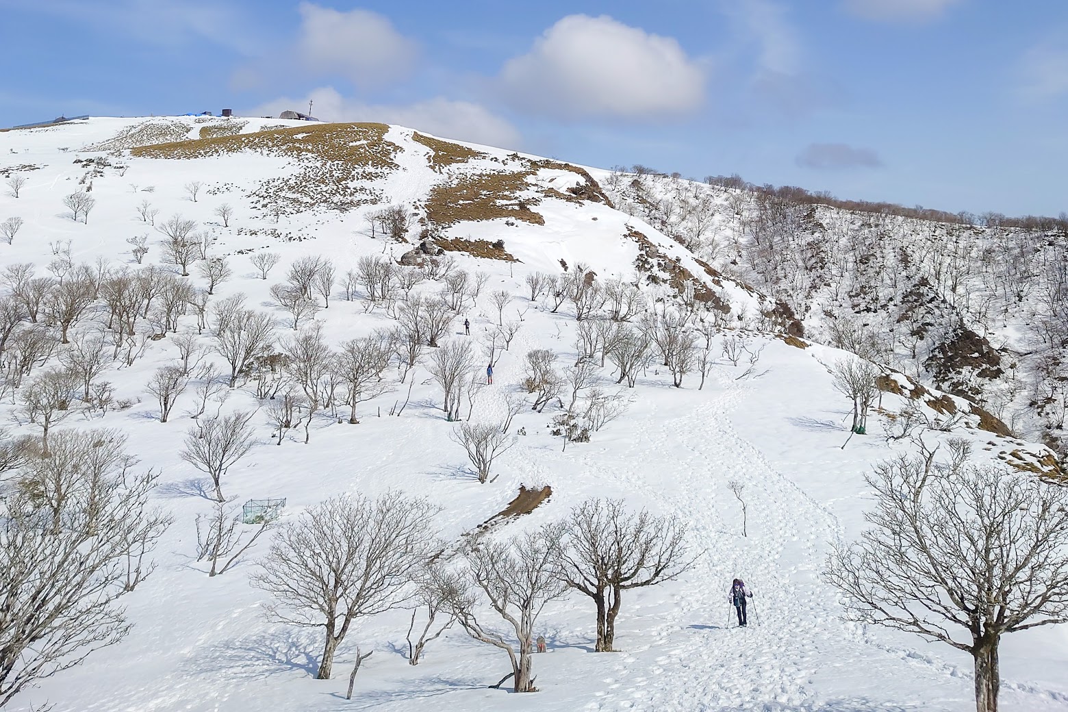 雪の蓬莱山登山│権現岳～蓬莱山ピストンルート