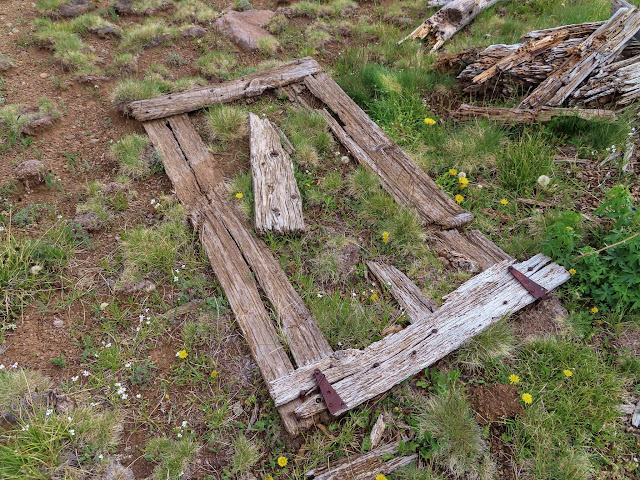 Old corral gate