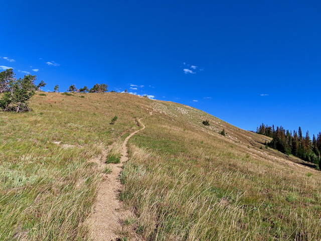 Thurston Peak trail