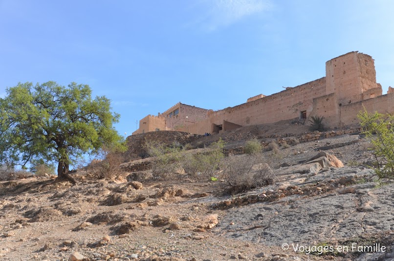 Taroudant - Oasis Tiout Palmeraie