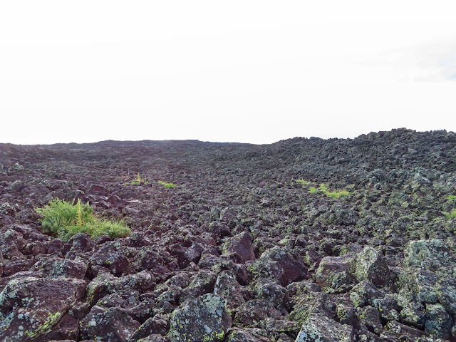 Gnarly boulder field