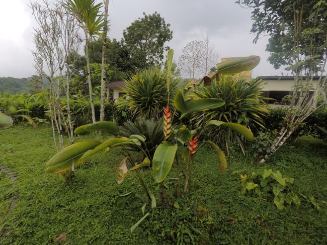 Jardim Botânico Bom Sucesso - O que fazer em São Tomé e Príncipe: A região Centro de São Tomé