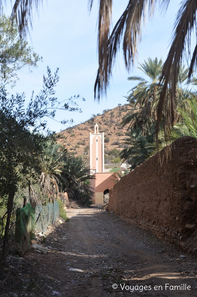 Taroudant - oasis Tiout, palmeraie