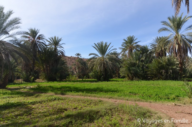 Taroudant - Oasis Tiout Palmeraie