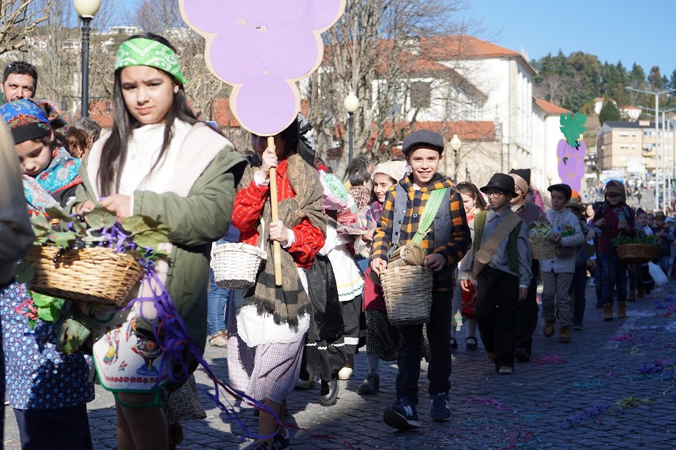 Desfile de Carnaval Escolar percorreu as principais ruas de Lamego