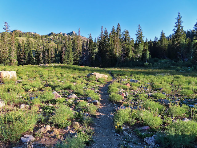 Naomi Peak trail