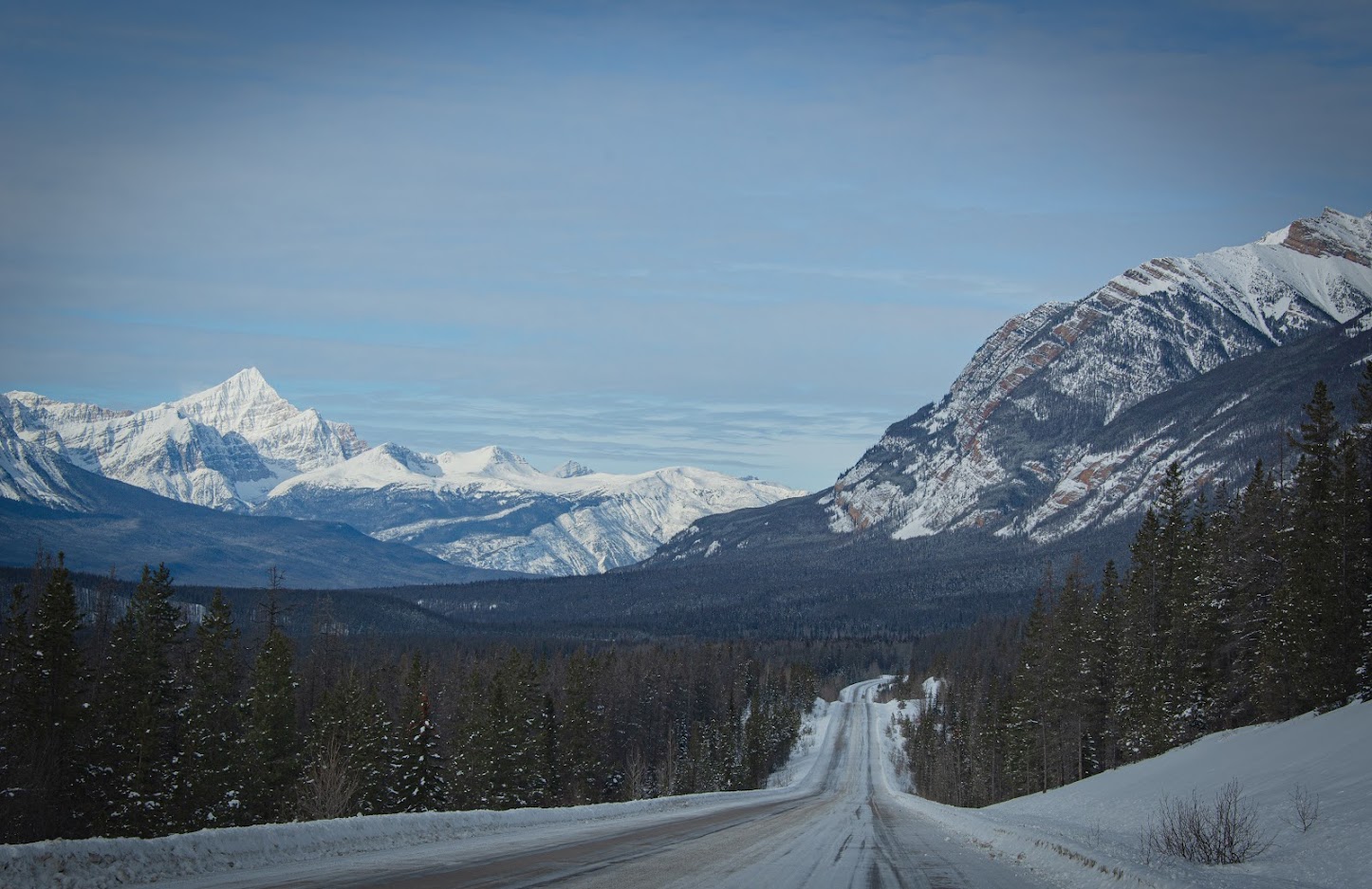 Зимняя Alberta - январь 2023