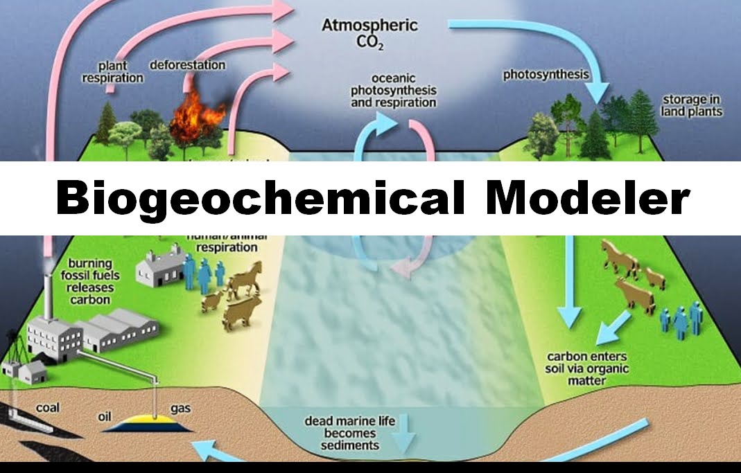 SBiogeochemical Modeler