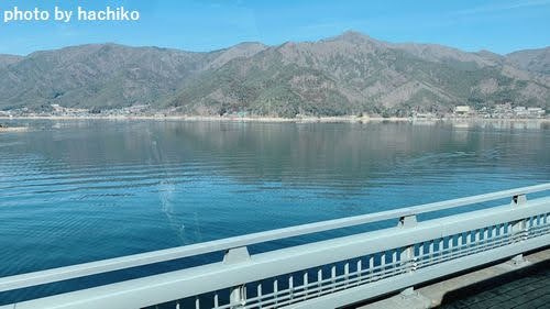 ハーブ庭園　旅日記　河口湖　口コミ