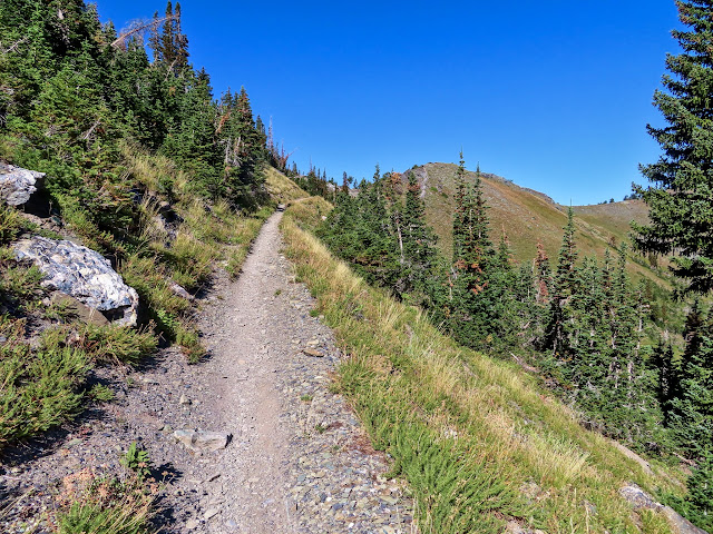 Willard Peak trail