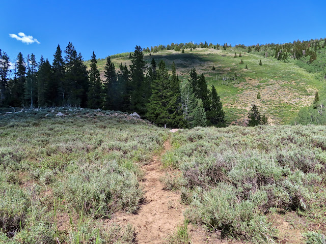 Start of the Bridger Peak trail