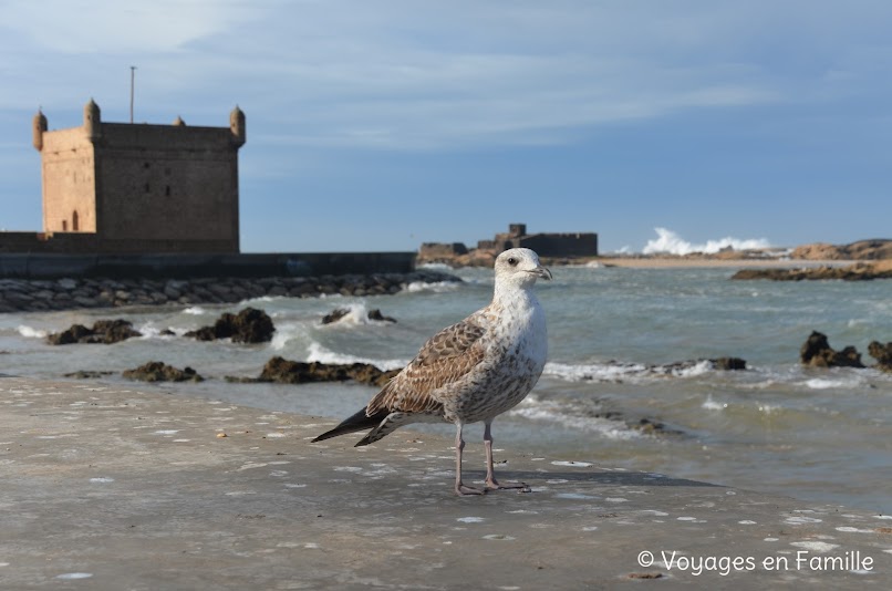 Essaouira Medina