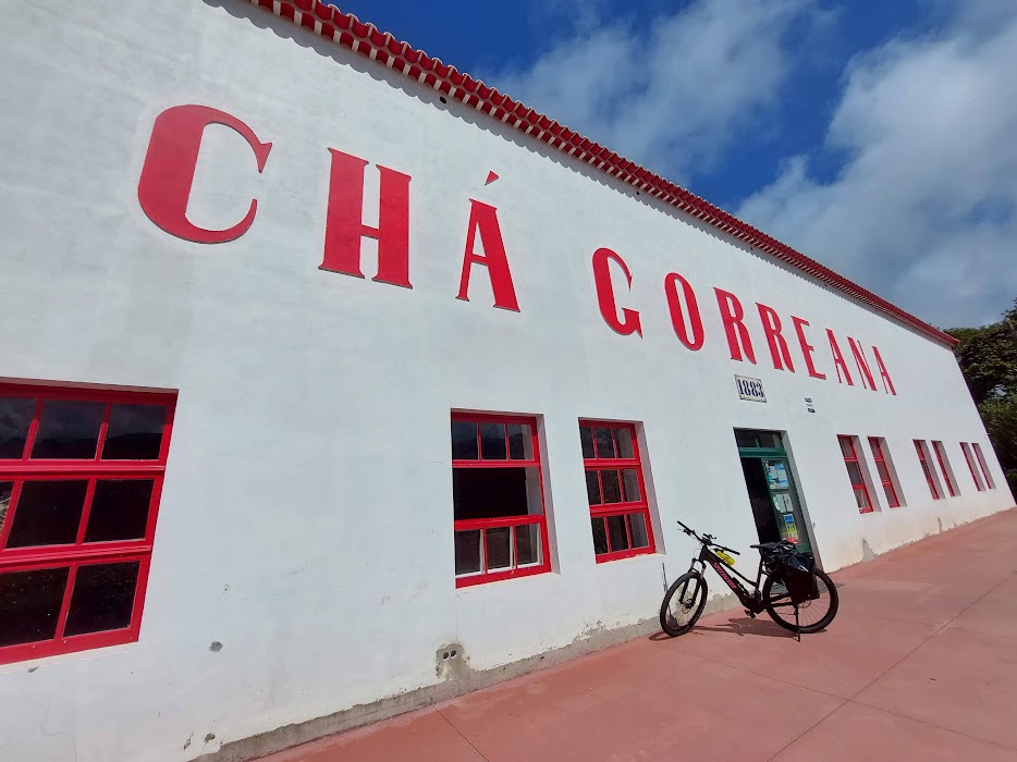 Gorreana tea factory in the Azores