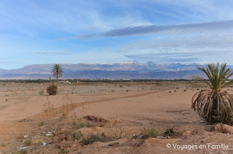 Taroudant - oasis Tiout