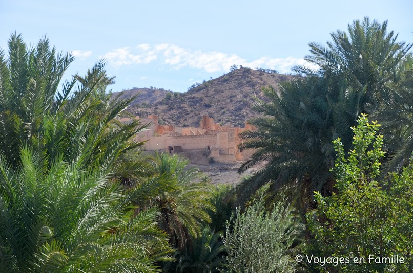 Taroudant - Oasis Tiout Palmeraie