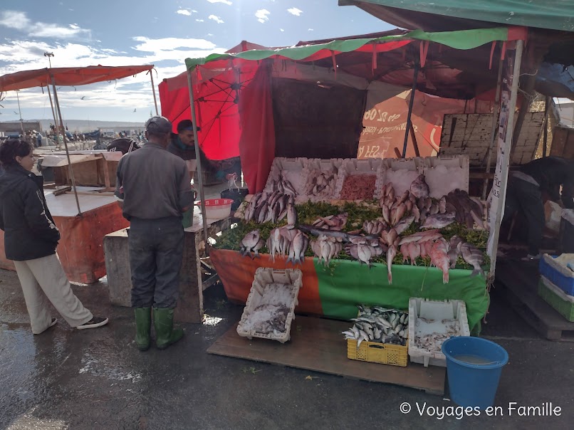 Essaouira, port