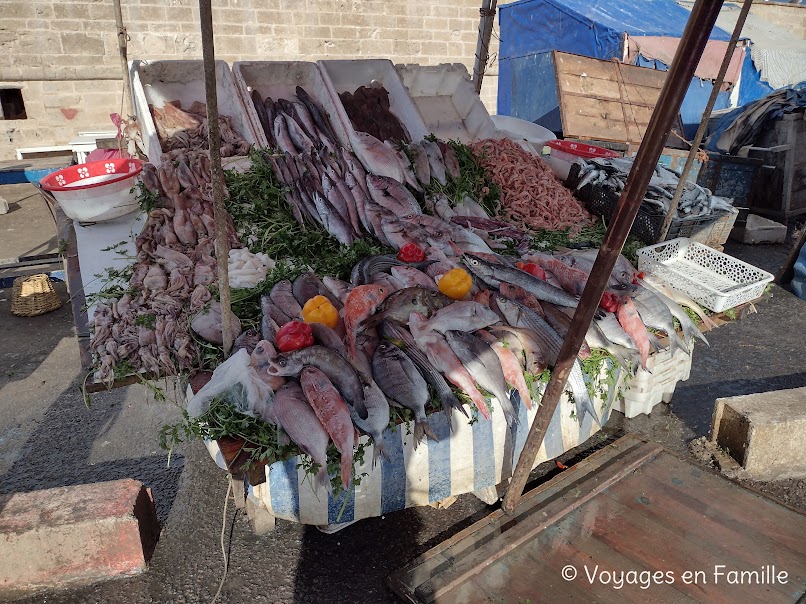 Essaouira Port