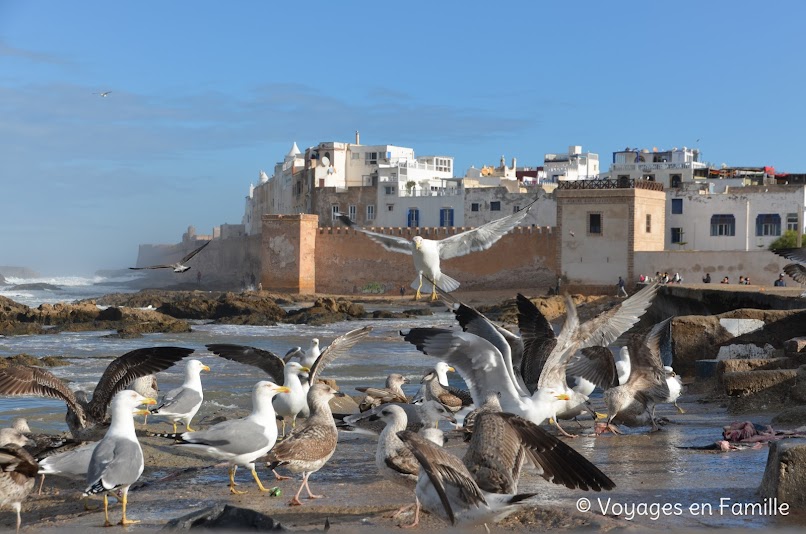 Essaouira, Medina