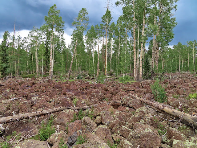 Boulder field