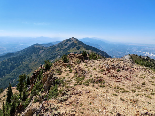 View south from Willard Peak