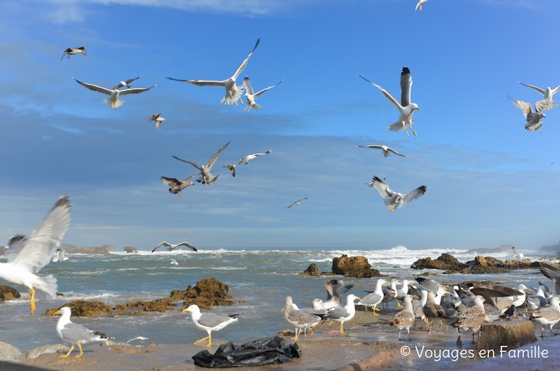 Essaouira, Medina