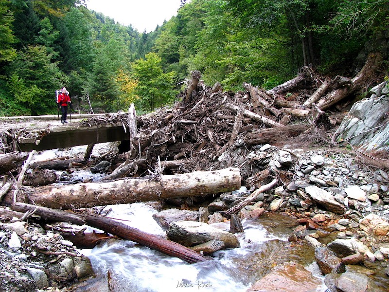 Valea Sâmbetei, foto Marius