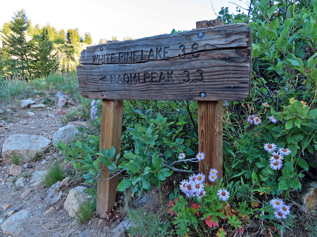 Naomi Peak sign