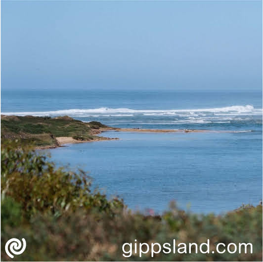 Explore East Gippsland's hidden gems, support locals, and enjoy nature in small towns