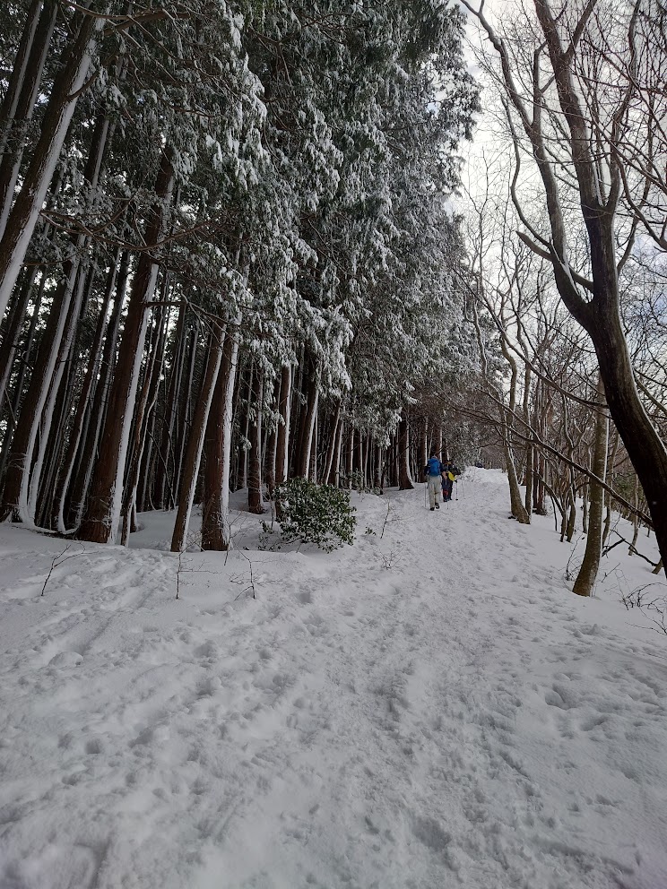 蛇谷ヶ峰で雪山登山│くつき温泉てんくうルート