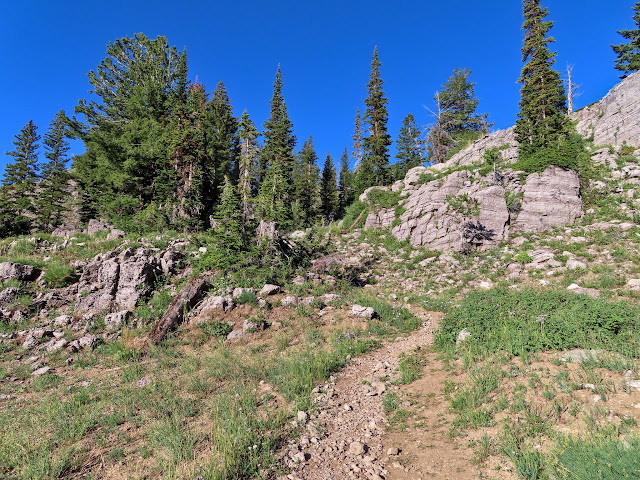 Naomi Peak trail