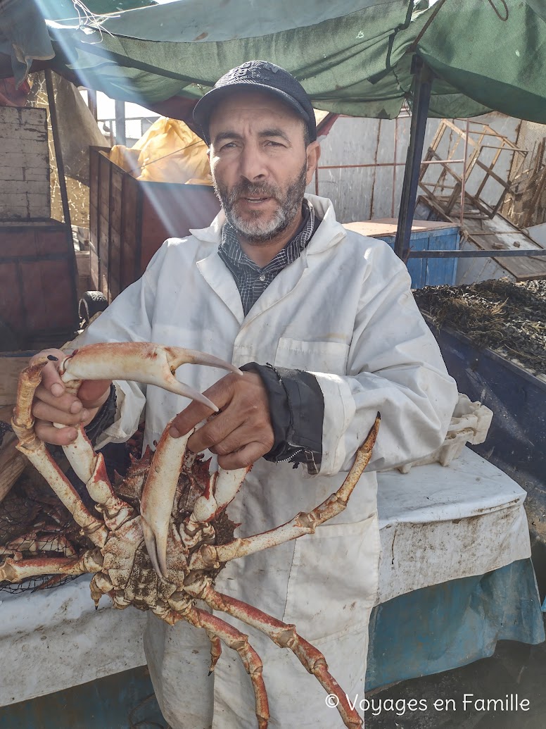 Essaouira Port