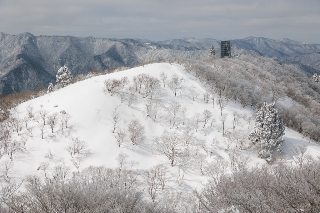 蛇谷ヶ峰でスノーシュー登山│滋賀大好きユーチューバーと