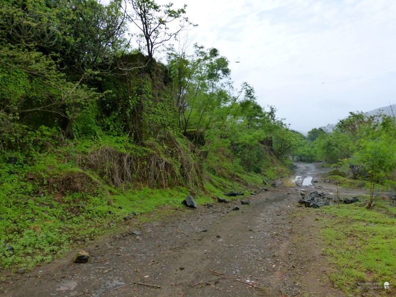 Road leading to Nagla Bunder Fort