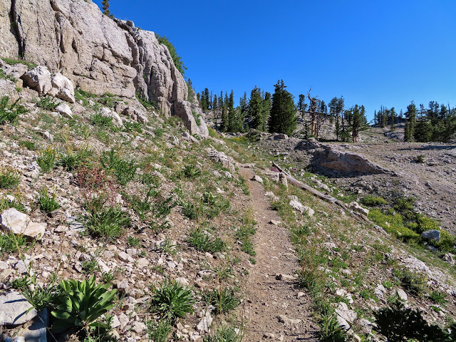 Naomi Peak trail