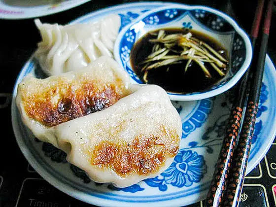 chinese dumplings, guo tie, jiao zi, jiaozi, pork, pork dumpling, potsticker, recipe, 鍋貼, 餃子, steamed dumplings, how to make